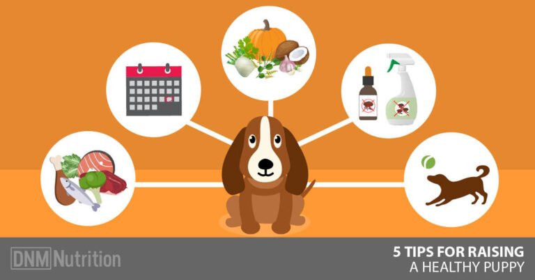 How To Raise A Puppy