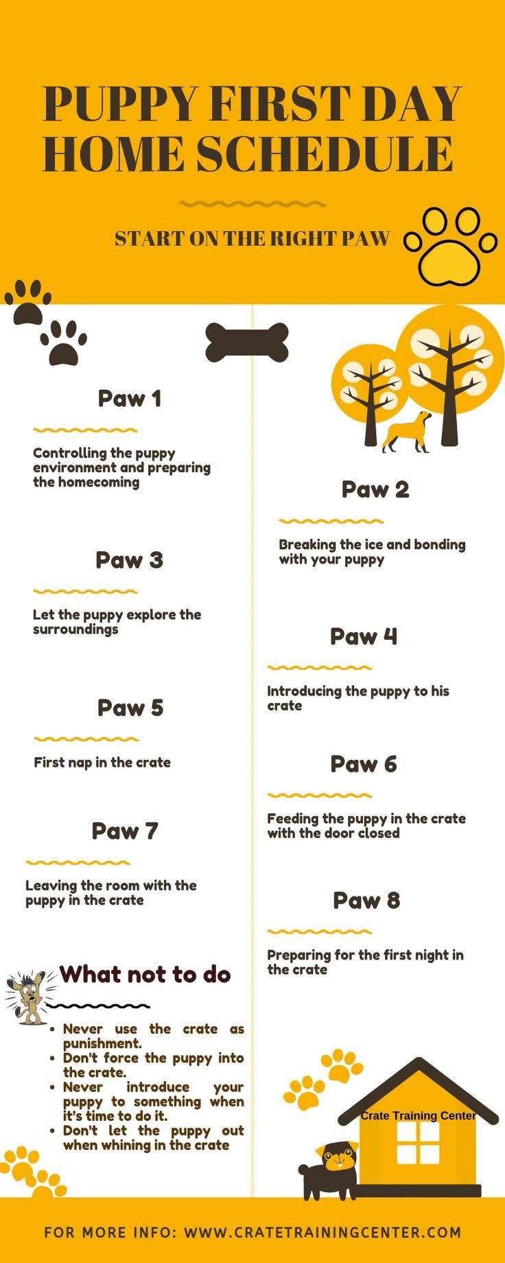 How To Crate Train A Puppy At Night: Easy Guide