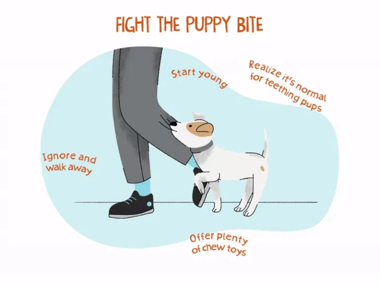 How To Get Puppy To Stop Biting