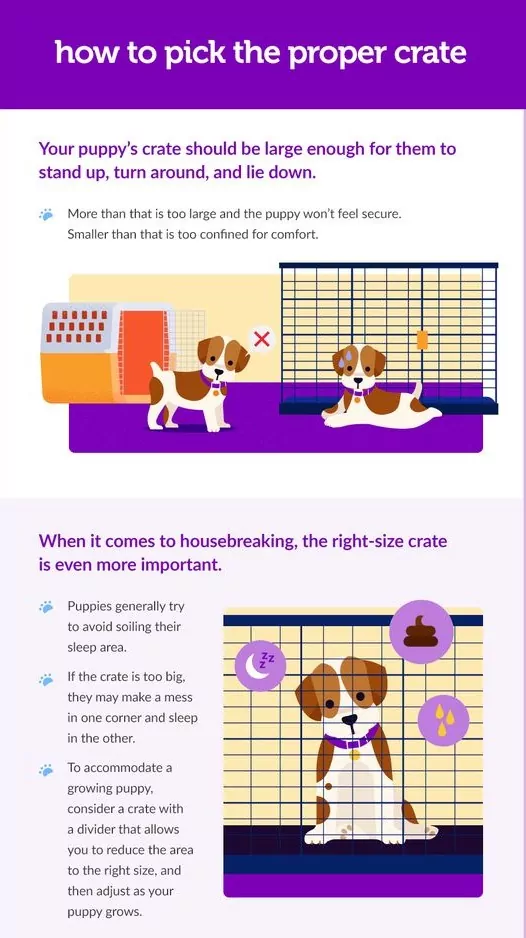 How To House Train A Puppy Fast