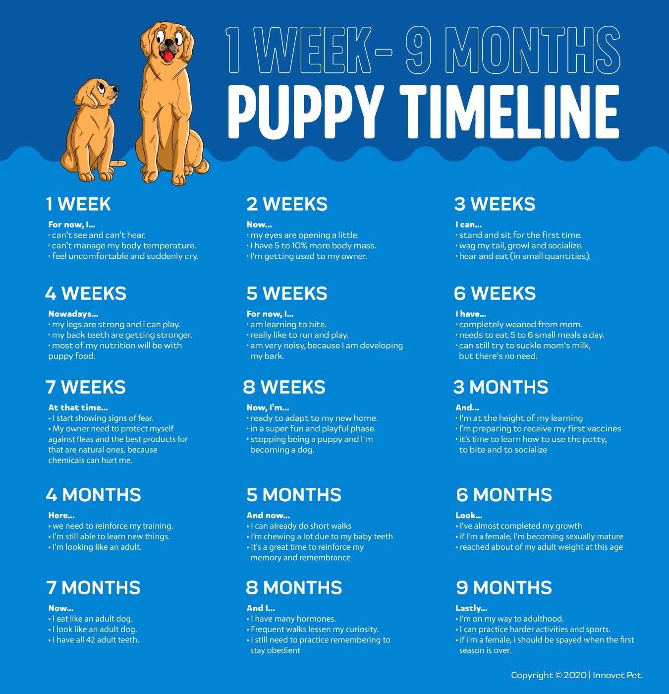 When Can Puppies Hear