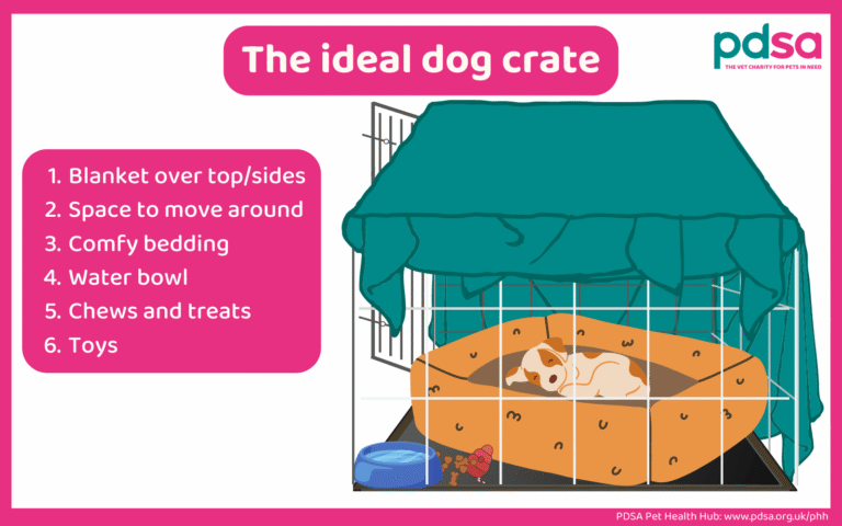 How Long Can A Puppy Stay In A Crate