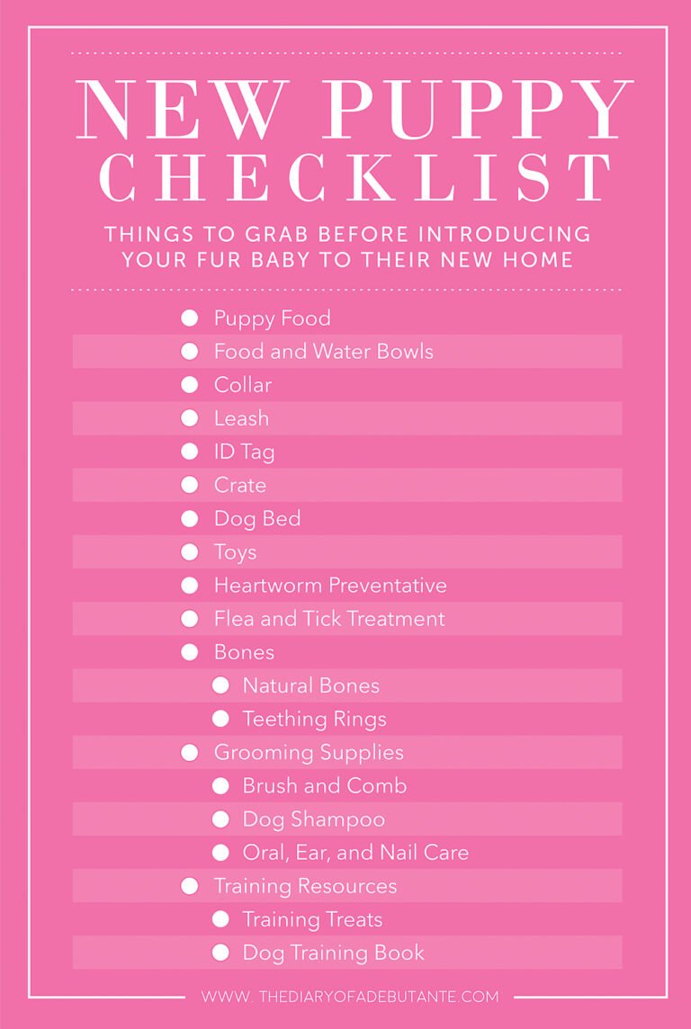 How To Prepare For A New Puppy