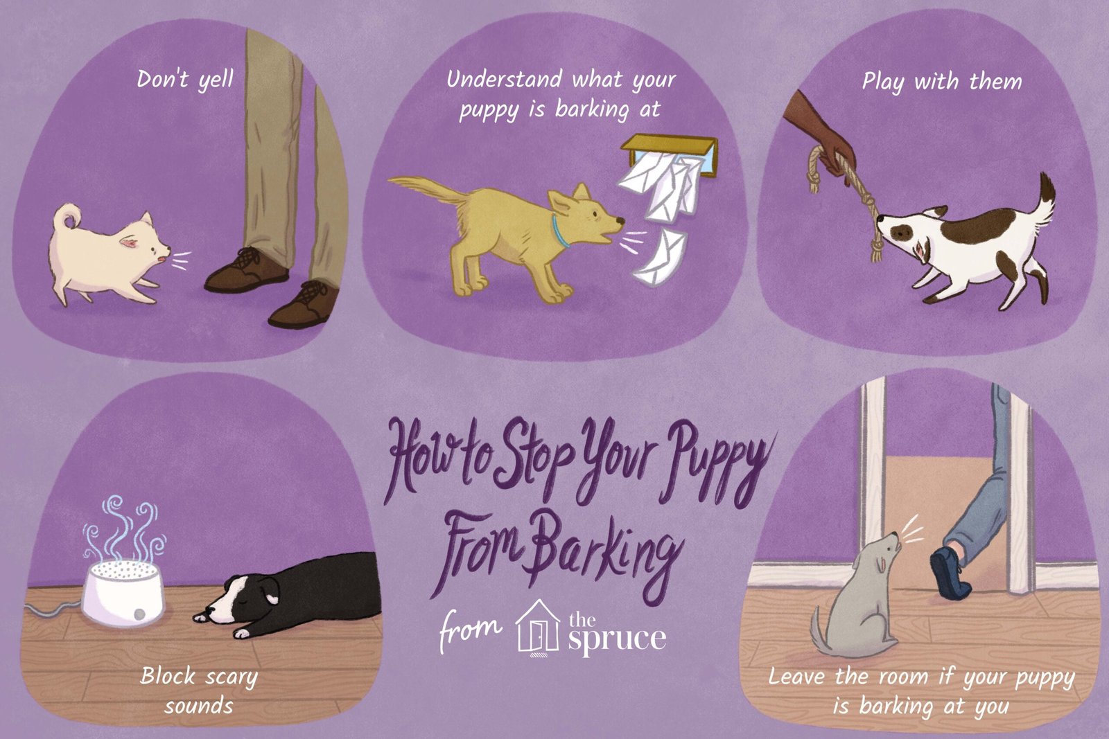 When Do Puppies Start Barking