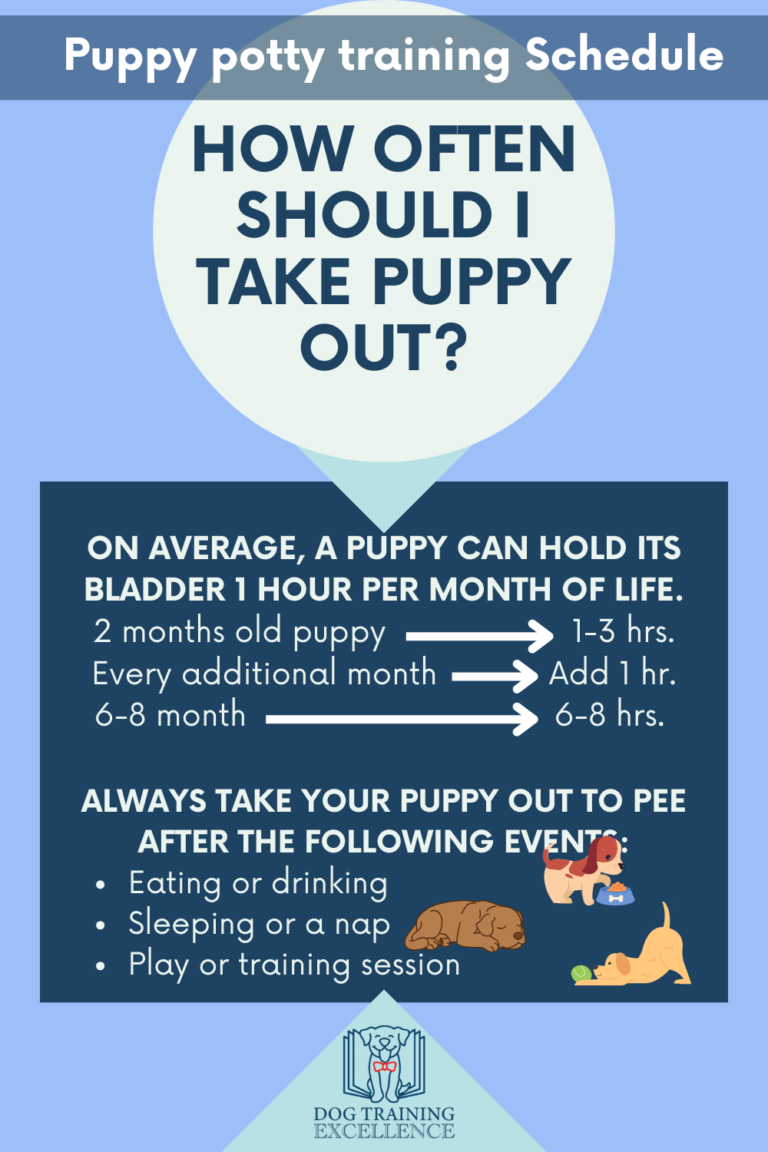 How To Train Puppy To Pee Outside